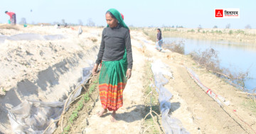 बगर खेतीमा 'रमाउँदै–कमाउँदै' कैलालीका किसान, भारतीयहरू विस्थापित 